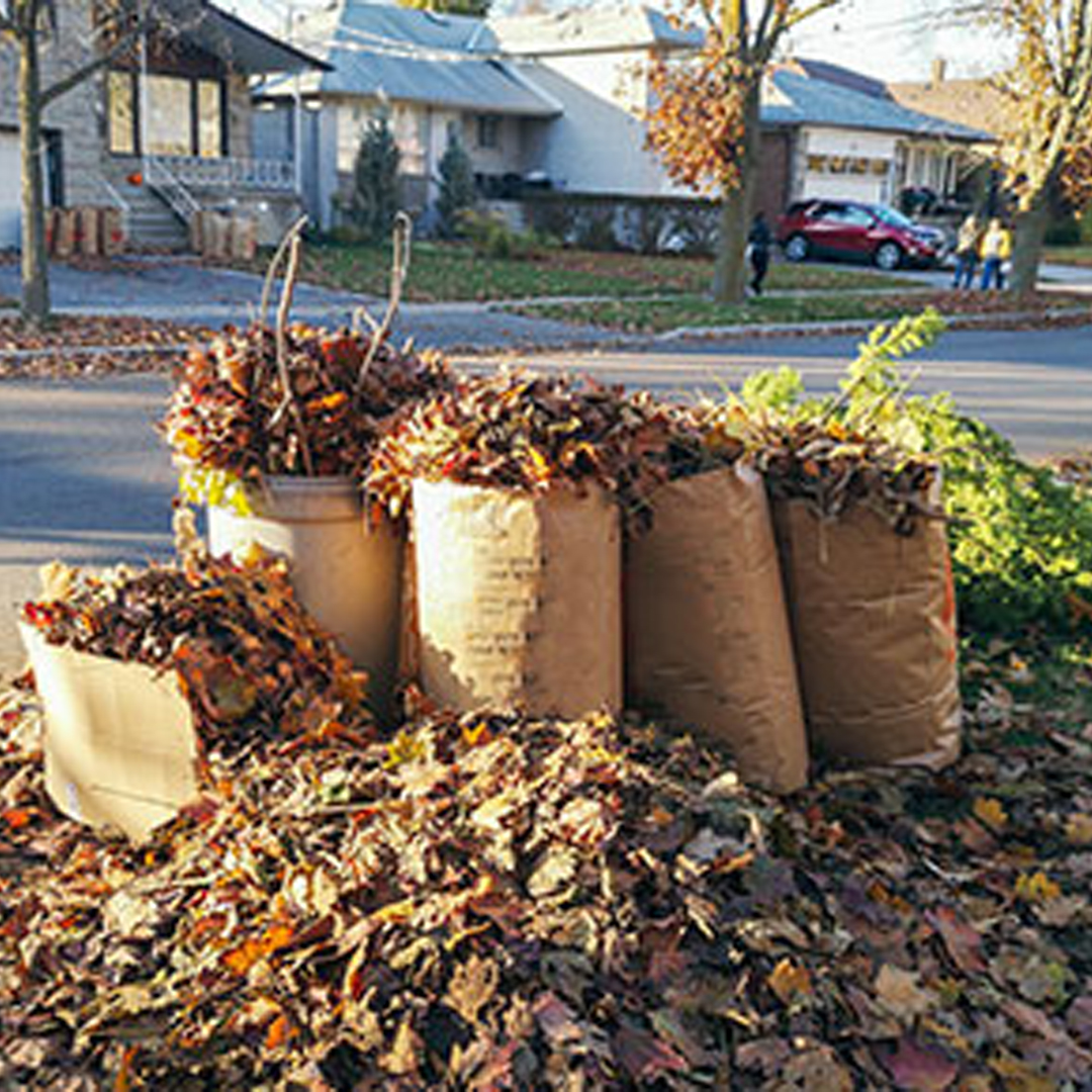 Yard Waste and Landscaping Debris Removal